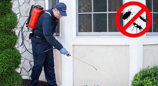 Divriği Dezenfeksiyon böcek ilaçlama ve haşere kontrolü — ilaclama-tr.com